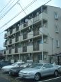 コート林