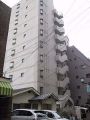 KF005608