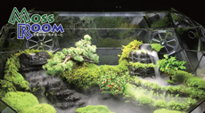 MOSSROOM