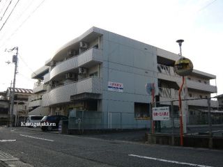 徳島市新浜町 1Kマンション