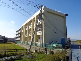 徳島市東吉野町 1SLDKマンション