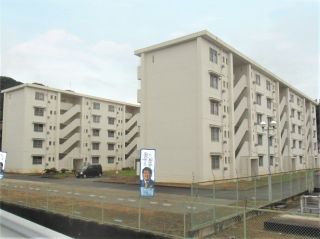 吉野川市鴨島町上浦 3DKマンション