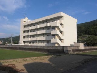 吉野川市川島町桑村 3LDKマンション