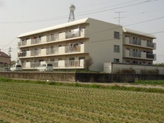 吉野川市川島町宮島 2DKマンション