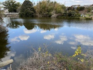 三豊市山本町辻 土地-341.13m<sup>2</sup>