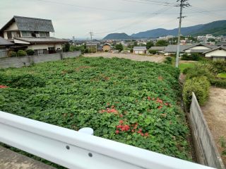 坂出市府中町 土地-384.00m<sup>2</sup>